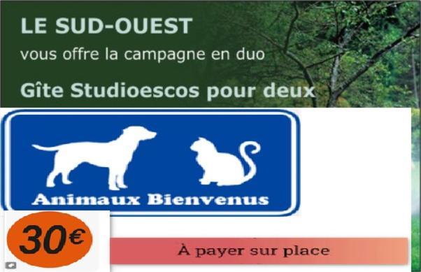 Gite Studioescos El Uno Eksteriør bilde